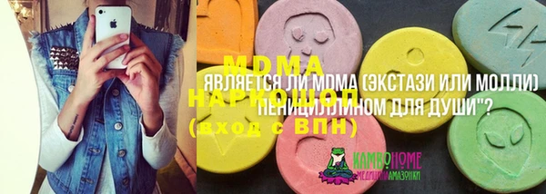твердый Аркадак