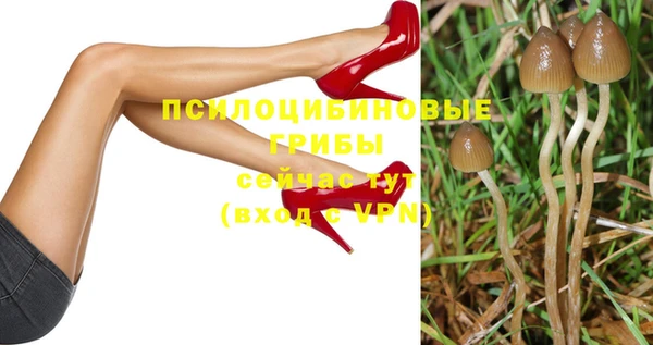 твердый Аркадак