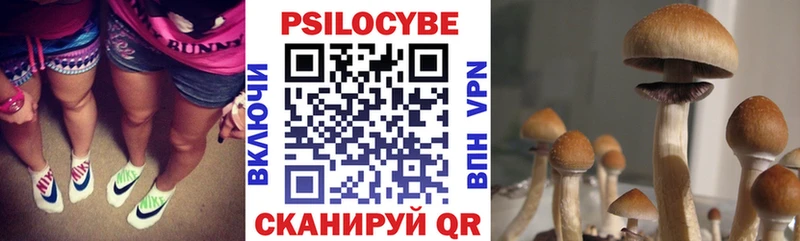 Галлюциногенные грибы MAGIC MUSHROOMS  Коломна 